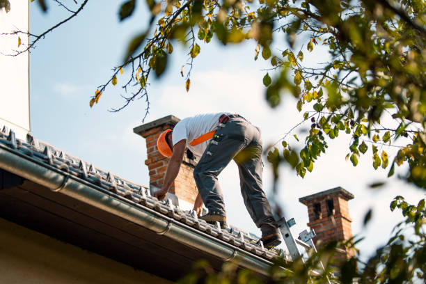 Best Roof Gutter Cleaning  in Taylor, MI