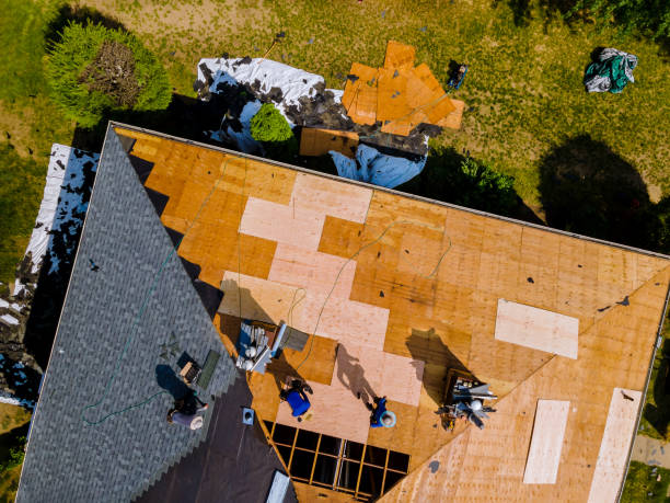 Best Best Roofing Contractors  in Taylor, MI