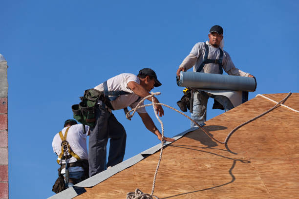 Best Storm Damage Roof Repair  in Taylor, MI