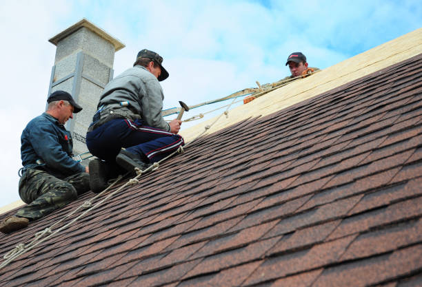 Best Gutter Installation and Roofing  in Taylor, MI